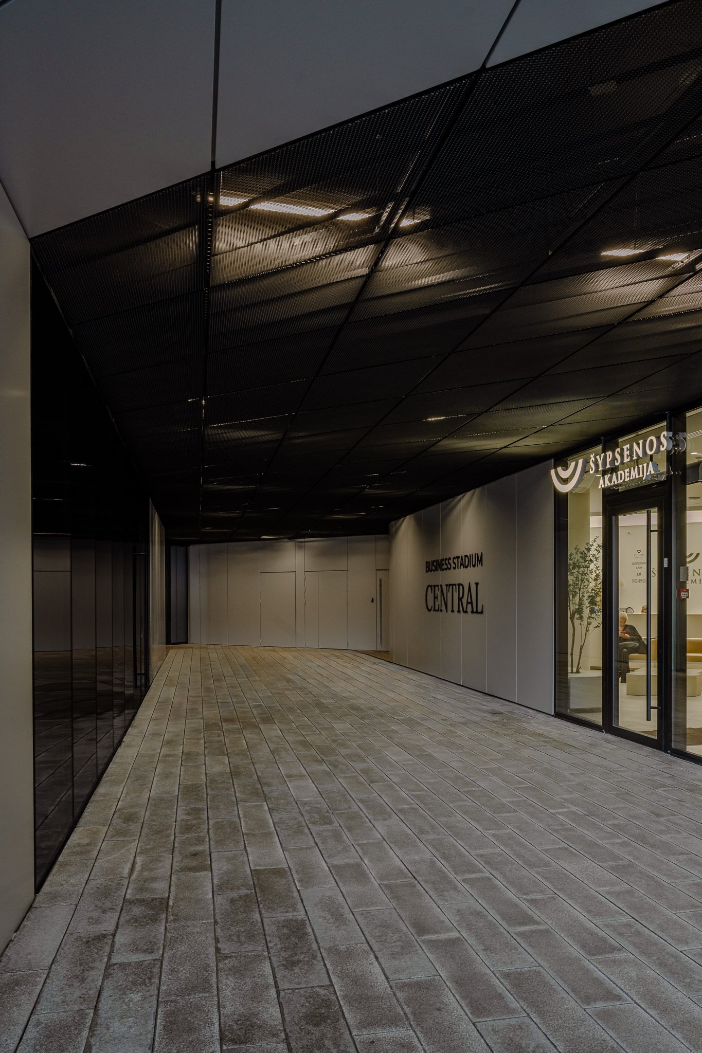 Business Stadium Central by Hanner & Zaha Hadid Architects - Vilnius, Lithuania